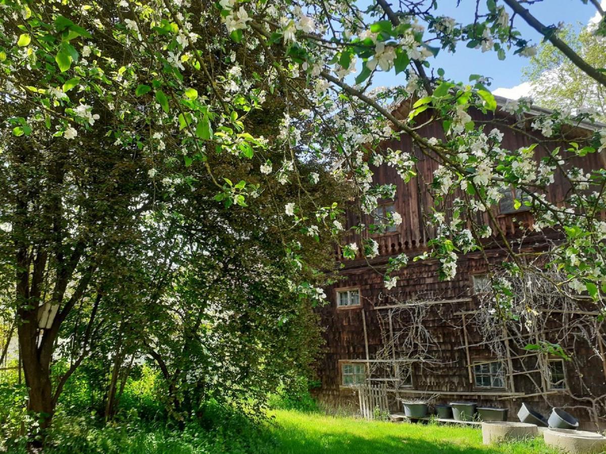 Ferienwohnung Kreiller Johanniskirchen Esterno foto