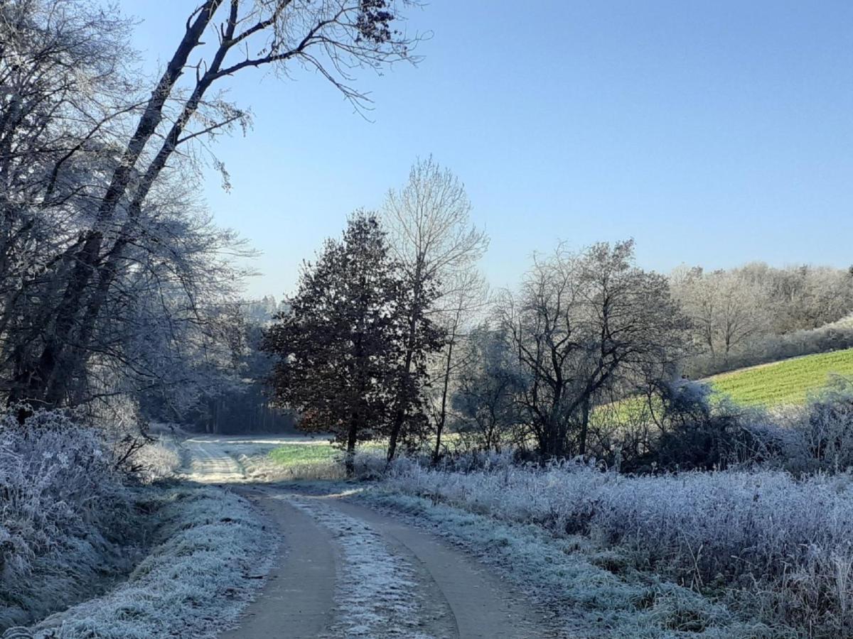 Ferienwohnung Kreiller Johanniskirchen Esterno foto